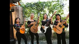 LA CANTINA (cover) - D&Uacute;O MERYMAR