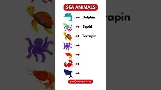 Learn Sea Animals Names with Pictures #marinelife #esl