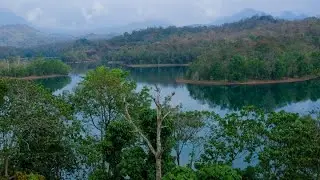 PEPPARA DAM & WILDLIFE SANCTUARY | TOURISM KERALA |