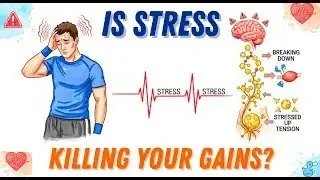 How Does Stress Affect Your Body? (Cortisol Explained)