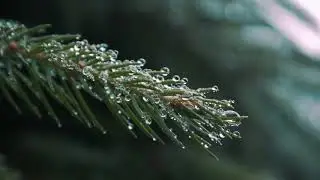 4K cinematic video || Inspirational, Relaxing, Nature, Meditation Music || Quest For Inspiration
