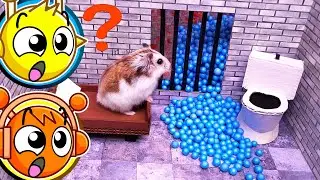 HAMSTER FUGINDO DAS ARMADILHAS PERIGOSAS!