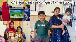 വിരുന്നൊക്കെ അവസാനിച്ചു വന്നപ്പോഴേക്കും വീട്ടിലെ അവസ്ഥ ഇതായിപ്പോയി 😌