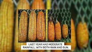 Prevention of drought
