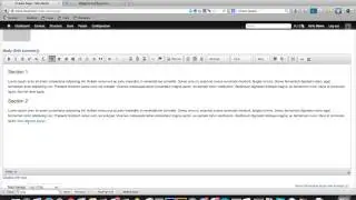 WYSIWYG Text Editor