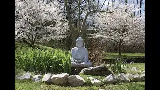 Metaphysical Meditation - Rev.  F. Reed Brown