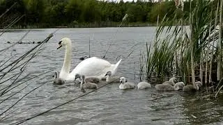 Spring 2019 at Spring Cottage Fisheries