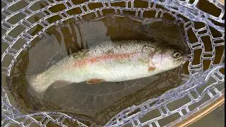 BFS Trout Fishing @ Seneca Creek, MD