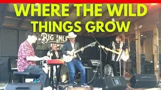 Kev Rowe and Friends - Where The Wild Things Grow - Big Inlet Brewing, Mayville, NY - 07.19.24