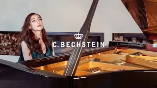 К. Бехштейн: Все, кто знает