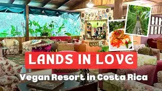 Lands in Love - Vegan Hotel and Resort, Adventure Activities in Costa Rica | Animal Rescue Centre