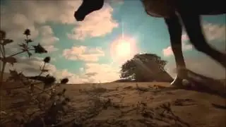 Andolsun nefes nefese koşanlara!