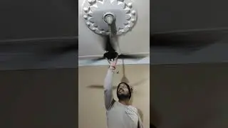 Fan Broken Sound 💔 Funny Experiment 😂 | Ceiling Fan Noise 2026