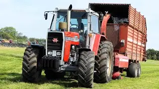 Massey Ferguson 2680 & 2725 in the field Chopping Grass at Silage Day