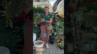 🍂 How to Plant a Beautiful Fall Porch Planter | With Megan