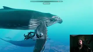 let's play: beyond blue. swimming with whales and playing fetch with dolphins?