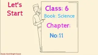 Science Class 6 Chapter 11 | STBB | Investigating sound | MCQ's