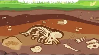Dinosaur Camp - Episode 3 - Fossil Fever