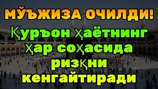МЎЪЖИЗА ОЧИЛДИ! Қуръон ҳаётнинг ҳар соҳасида ризқни кенгайтиради