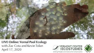 LIVE Online: Vernal Pool Ecology