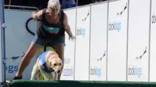 Dock Dogs speed retrieval finals at Clark County Fair
