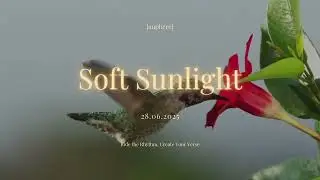 ☀️ Soft Sunlight | anphere 🎶