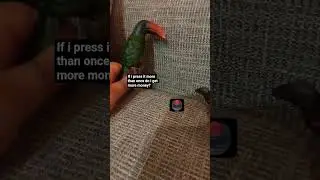 button (birds toy)