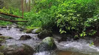Healing River Sounds &ndash; 10 Hours of Calming ASMR for Focus & Mind Relief