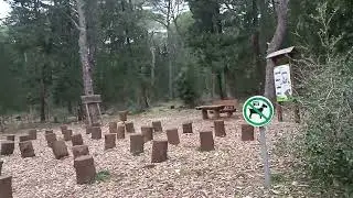 Điram po musapstanu prirodi u Zadru 