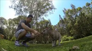 Morisset Park - Sydney (Australia) GoPro Hero 3 Black Edition