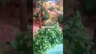 #trending #viralvideo #garden #flowers #song #music #gardening #harvest #cooking #sewing #stitch