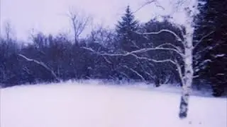 never,forever. - whiteout