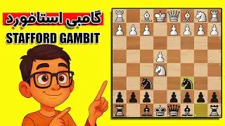 گامبی استافورد سلاح مخفی مهره سیاه STAFFORD GAMBIT