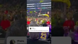 The fan was ejected from the game (via Fernadad1/X) #shorts
