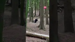 FAILS Of The Week