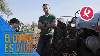 Pablo, un niño de 10 años que ''parece haberse tragado a un agricultor mayor'' | El campo es vida