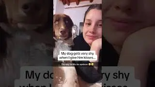 The love between dogs and their owners ❤️❤️
