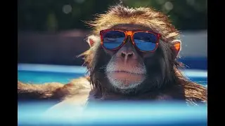 Poolside Grooves Volume 2 mixed by AJ