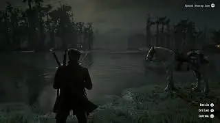 best Channel catfish spot rdr2 online #2024