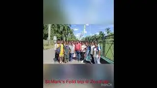 St.Mark&rsquo;s Feild Trip to Zoo