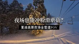 第一人称双板滑雪   谁家好雪场夜场开猫跳道还能冲粉雪啊？夏油夜场全雪道pov