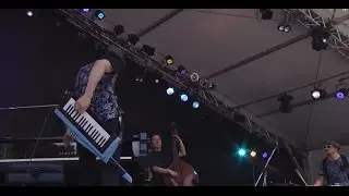 【FujiRock 2014 / Best Act.】
