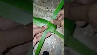 cocunut leaf art #shorts