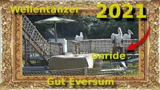 Gut Eversum - Tier- und Freizeitpark - Wellent&auml;nzer - Corona Sommer 2021 - onride
