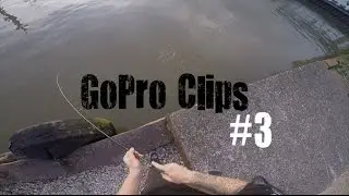 HLPT - Snoekbaars & Baars op Shads [GoPro Clips]