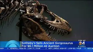 Full Dinosaur Skeleton Sells At Auction For $6.1 Million