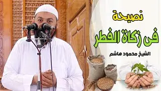 نصيحة فى زكاة الفطر | دقائق لقلبك | الشيخ محمود هاشم
