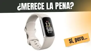 Google Fitbit Charge 6 Pulsera de actividad con 6 meses de suscripci&oacute;n al servicio Premium