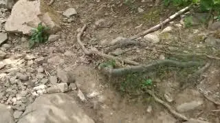 Mount Beacon Hike in New York State
