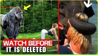 You Don't See This Every Day! Rare 1-in-a-Billion Incident from African Safari Trip Caught on Camera